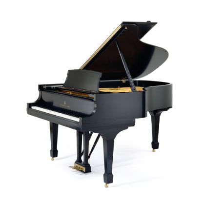 施坦威A 型号三角钢琴