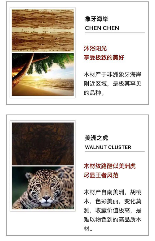 意甲押注app